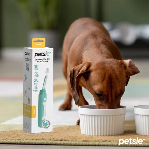 Petsie dog toothbrush (size S -10kg)