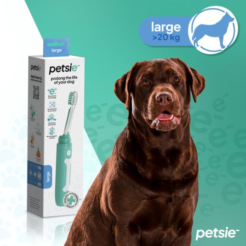 Szczoteczka do zębów dla psa Petsie (rozmiar  L 20+kg)