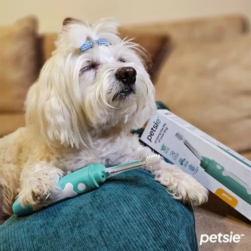 Petsie dog toothbrush (size M  10-20kg)