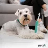 Petsie dog toothbrush (size M  10-20kg)