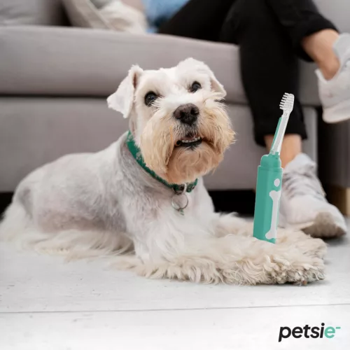 Petsie dog toothbrush (size M  10-20kg)